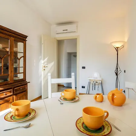 Solanum فياريجيو