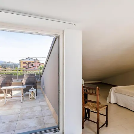 بيت للعطل Solanum *